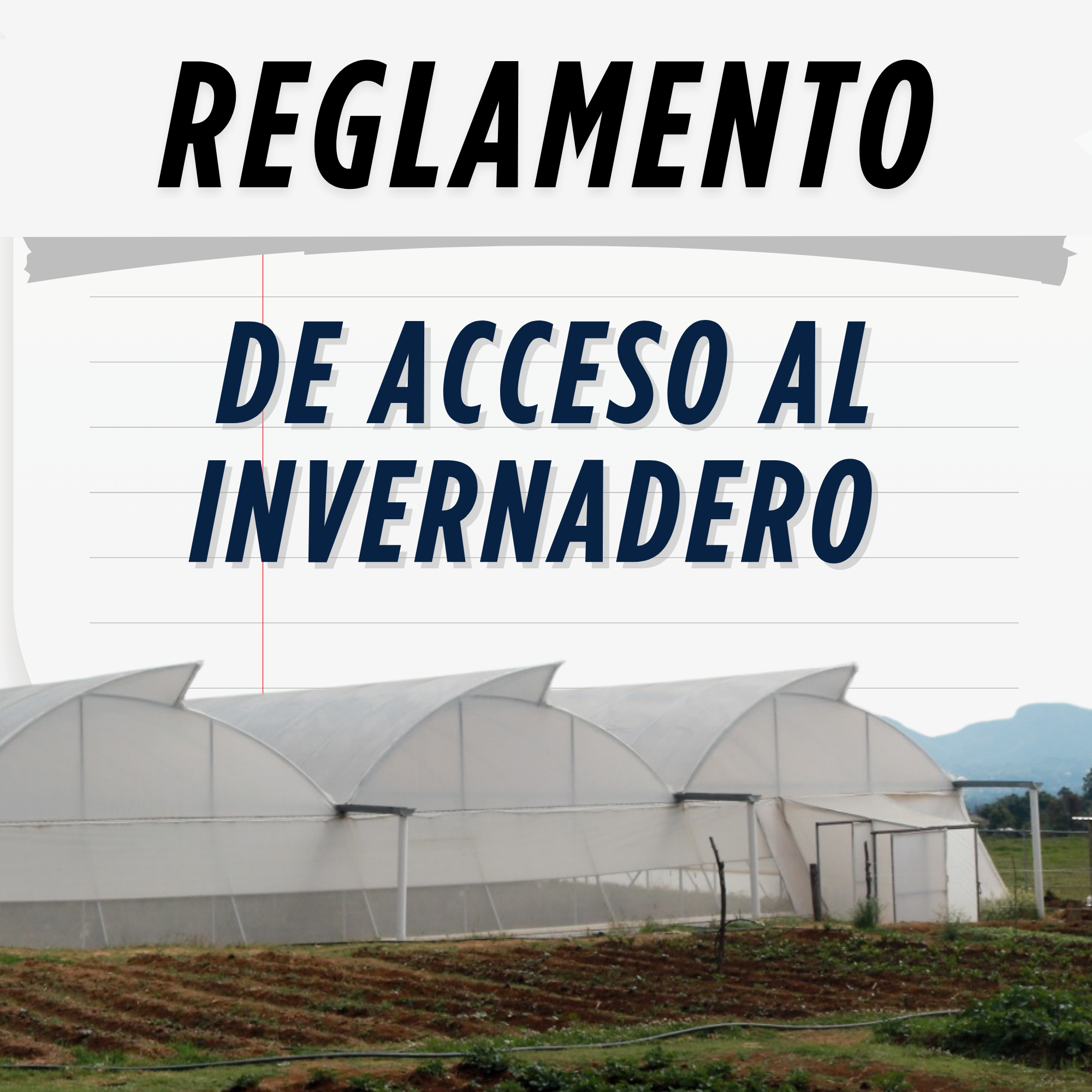 Reglamento de Inevernadero